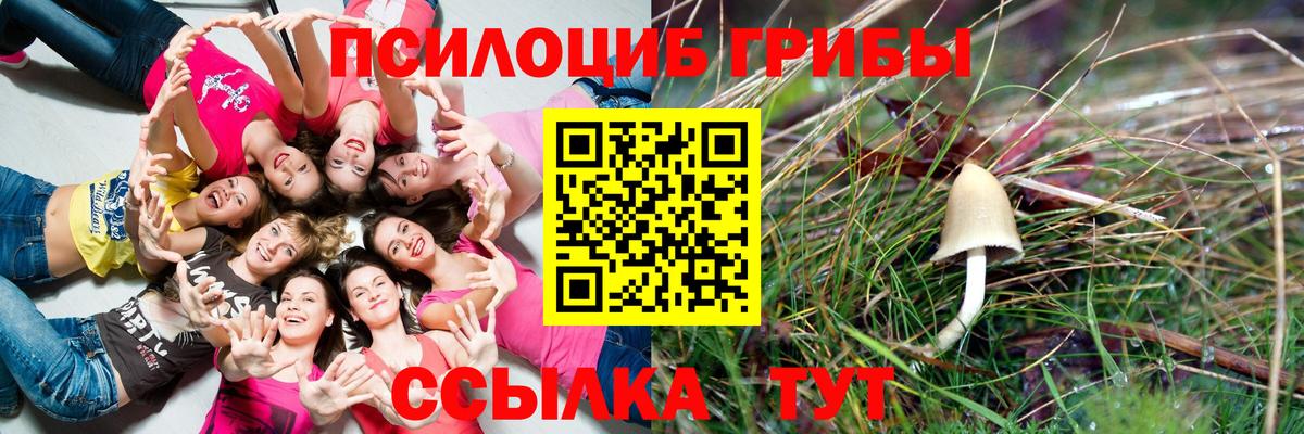 Галлюциногенные грибы Magic Shrooms Дедовск