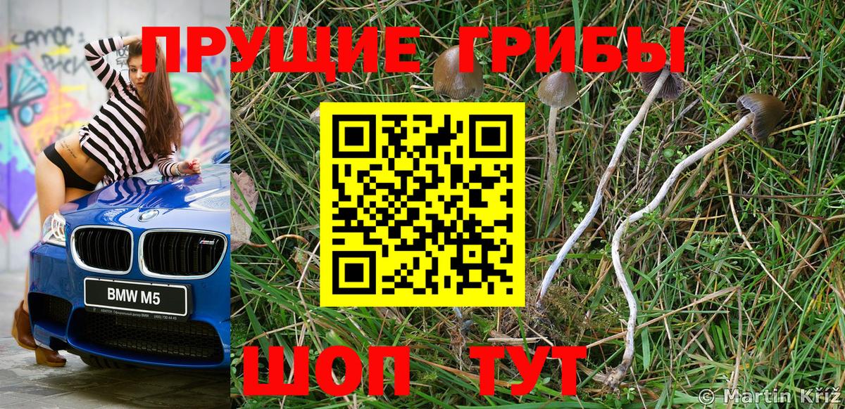 Псилоцибиновые грибы прущие грибы  Вход с VPN  Дедовск  Галлюциногенные грибы мицелий 