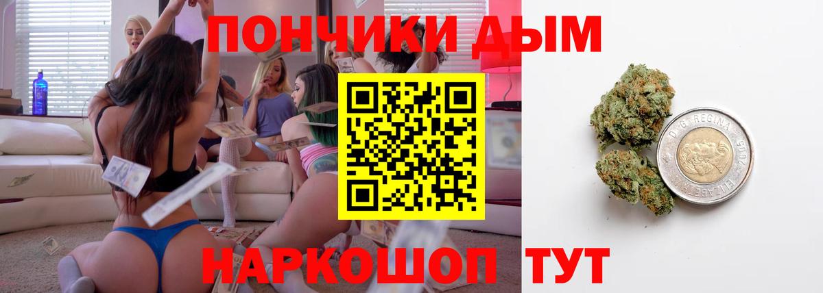 Конопля план Дедовск